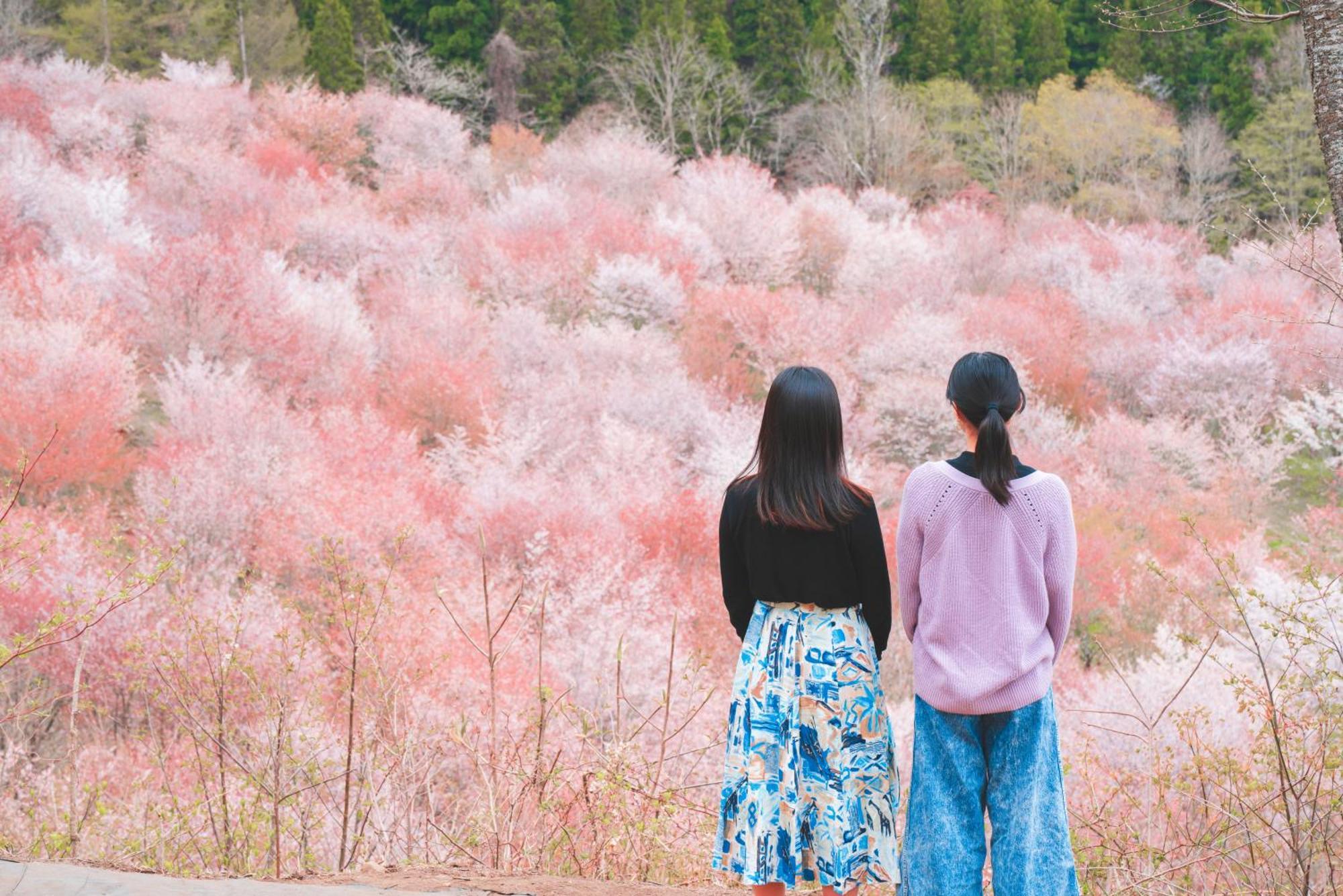 Urabandai Lake Resort Geihinkan Nekoma Rikyu Kitashiobara Buitenkant foto