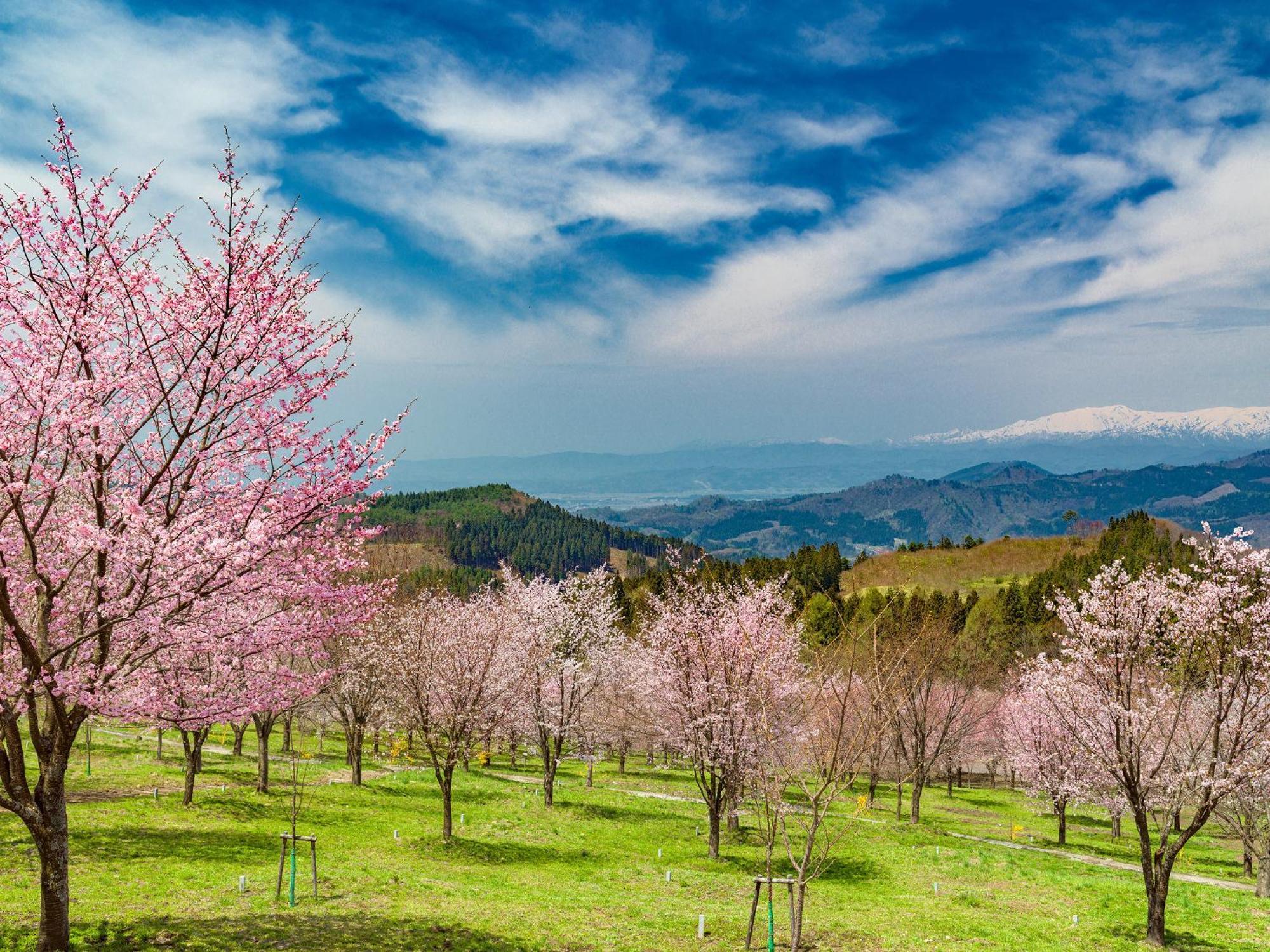 Urabandai Lake Resort Geihinkan Nekoma Rikyu Kitashiobara Buitenkant foto