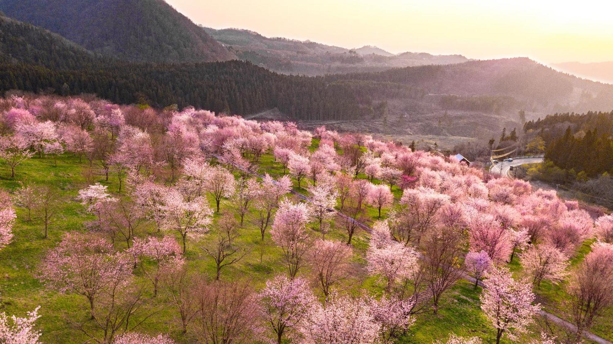 Urabandai Lake Resort Geihinkan Nekoma Rikyu Kitashiobara Buitenkant foto